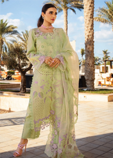 Rang Rasiya | Premium Summer Unstitched Collection 2025 | Ayleen