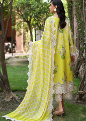 Combination | Vol -04 | CCS4-24