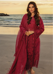 Rang Rasiya | Premium Summer Unstitched Collection 2025 | Alaya