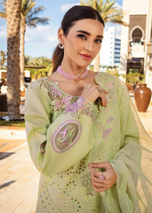 Rang Rasiya | Premium Summer Unstitched Collection 2025 | Ayleen