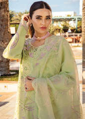 Rang Rasiya | Premium Summer Unstitched Collection 2025 | Ayleen