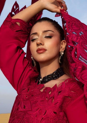 Rang Rasiya Rameen Premium Tailor Stitched 3 Piece Suit