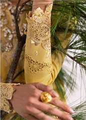 Qalamkar | Unstitched | DC-09 Enya