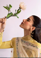 Qalamkar | Unstitched | DC-09 Enya