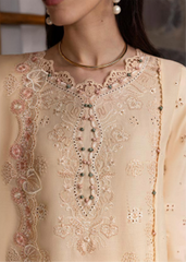 Qalamkar | Unstitched | DC-12 Disa