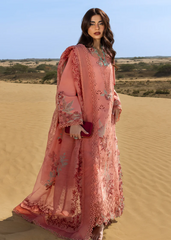 Rang Rasiya Elnaz Premium Tailor Stitched 3 Piece Suit