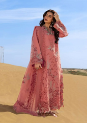 Rang Rasiya Elnaz Premium Tailor Stitched 3 Piece Suit