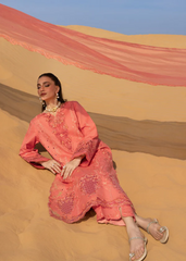Rang Rasiya Elnaz Premium Tailor Stitched 3 Piece Suit