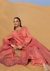 Rang Rasiya Elnaz Premium Tailor Stitched 3 Piece Suit